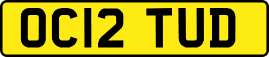 OC12TUD