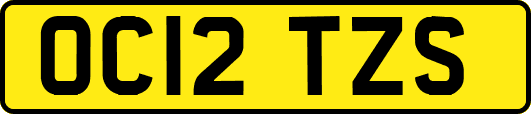OC12TZS