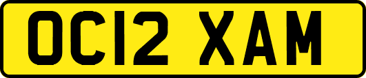OC12XAM