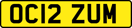 OC12ZUM