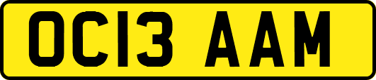 OC13AAM