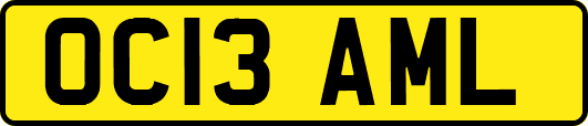 OC13AML