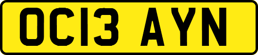 OC13AYN