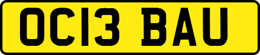OC13BAU