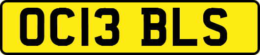 OC13BLS