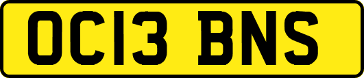 OC13BNS