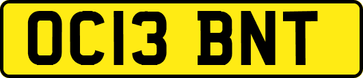 OC13BNT