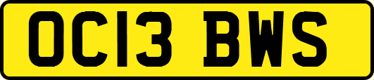 OC13BWS