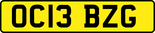 OC13BZG