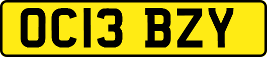 OC13BZY