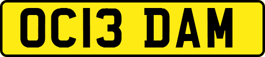 OC13DAM