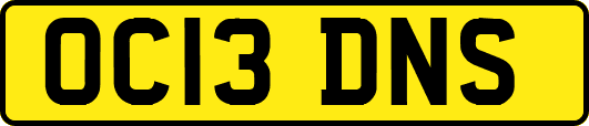 OC13DNS