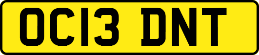 OC13DNT