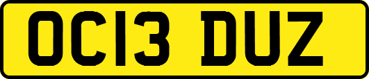 OC13DUZ