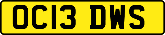 OC13DWS
