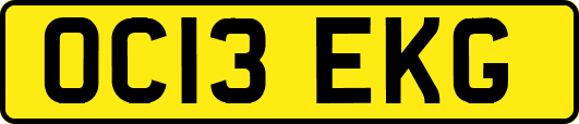 OC13EKG