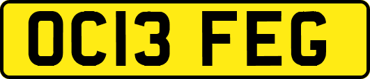 OC13FEG