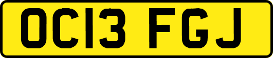 OC13FGJ