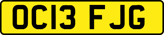 OC13FJG