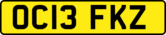OC13FKZ