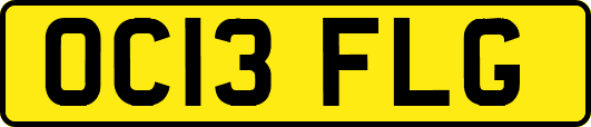 OC13FLG