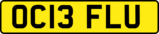 OC13FLU