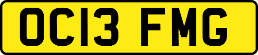 OC13FMG