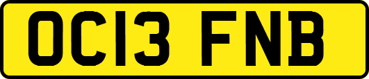 OC13FNB