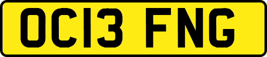 OC13FNG