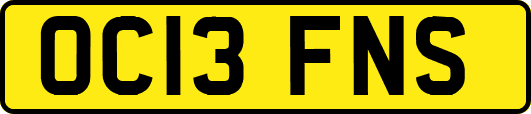 OC13FNS