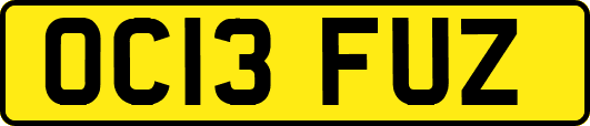 OC13FUZ