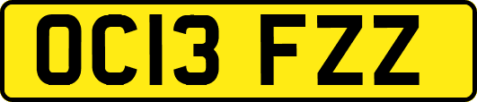 OC13FZZ