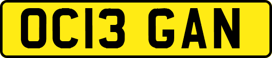 OC13GAN