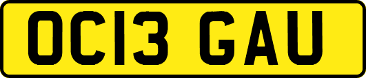 OC13GAU