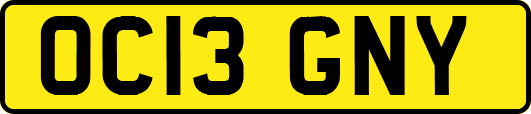 OC13GNY