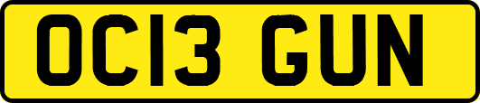 OC13GUN