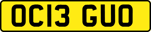 OC13GUO