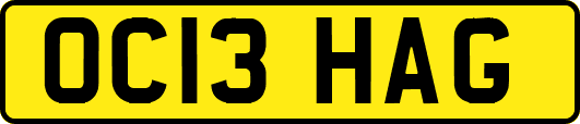 OC13HAG