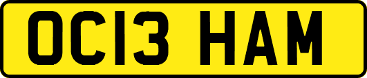 OC13HAM