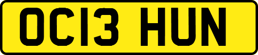 OC13HUN