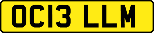 OC13LLM