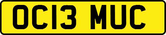 OC13MUC