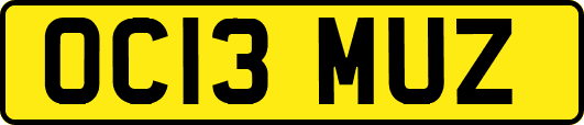 OC13MUZ
