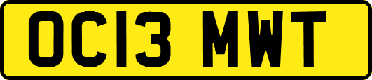 OC13MWT