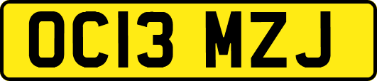 OC13MZJ