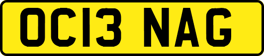 OC13NAG