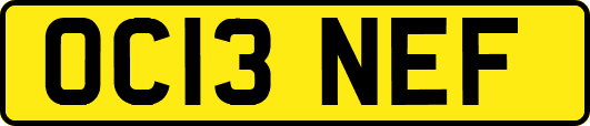OC13NEF