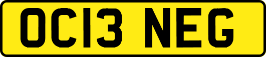 OC13NEG