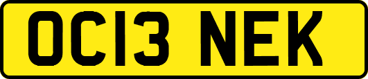 OC13NEK