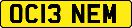 OC13NEM